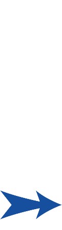 ブルーラジカル →