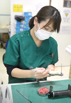 部分入れ歯　歯科技工士　女性