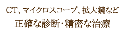 CT,マイクロスコープ、拡大鏡など　正確な診断・精密な治療