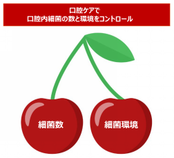 高齢者　口腔ケア