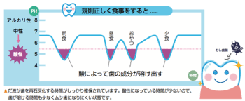 ステファンカーブ　規則正しい食事