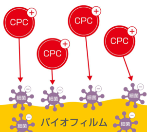 薬用成分で歯肉を守る