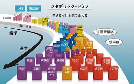 全身への悪影響の例　メタボリックドミノ