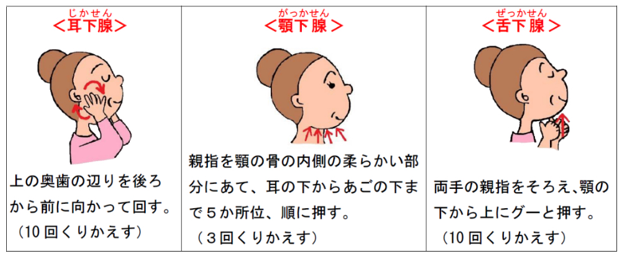 唾液腺マッサージ　方法