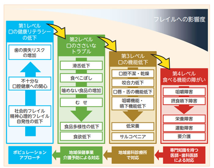 フレイルへの影響度　オーラルフレイル概念図