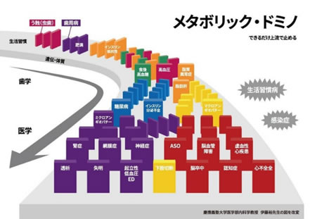 メタボリックドミノ　図解