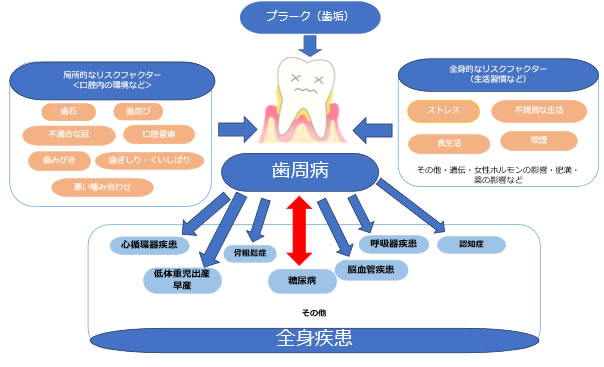 全身への影響　歯周病