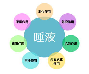 唾液の役割 作用
