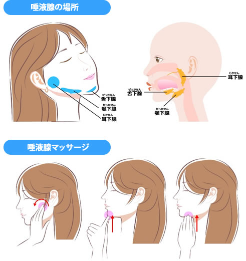 唾液腺マッサージ