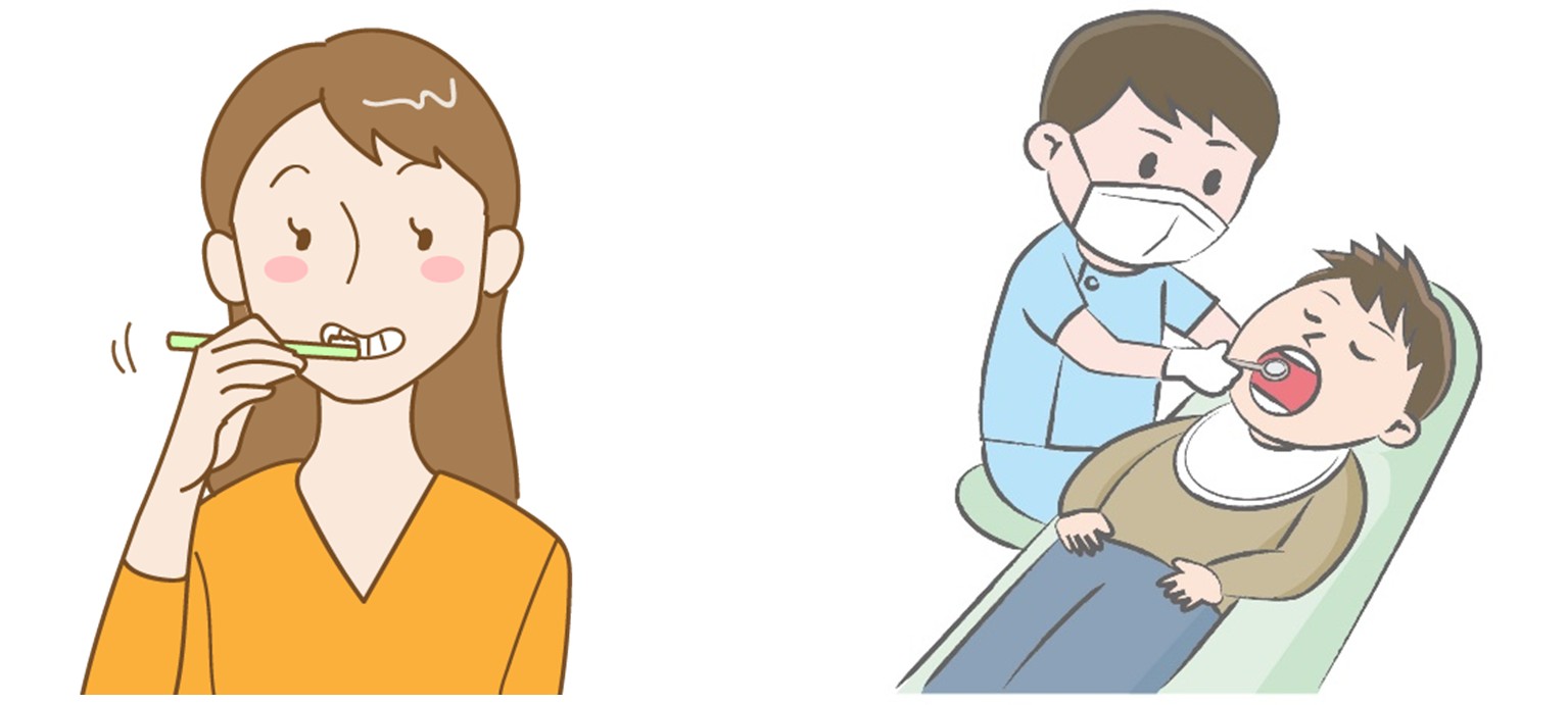 正しい歯磨き　定期検診